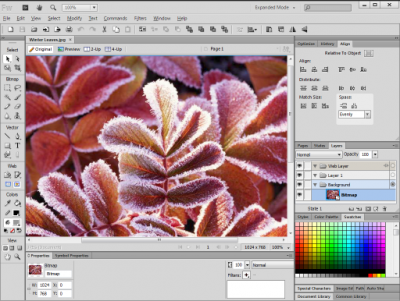 LA VITAL IMPORTANCIA DEL DESARROLLO DE PHOTOSHOP